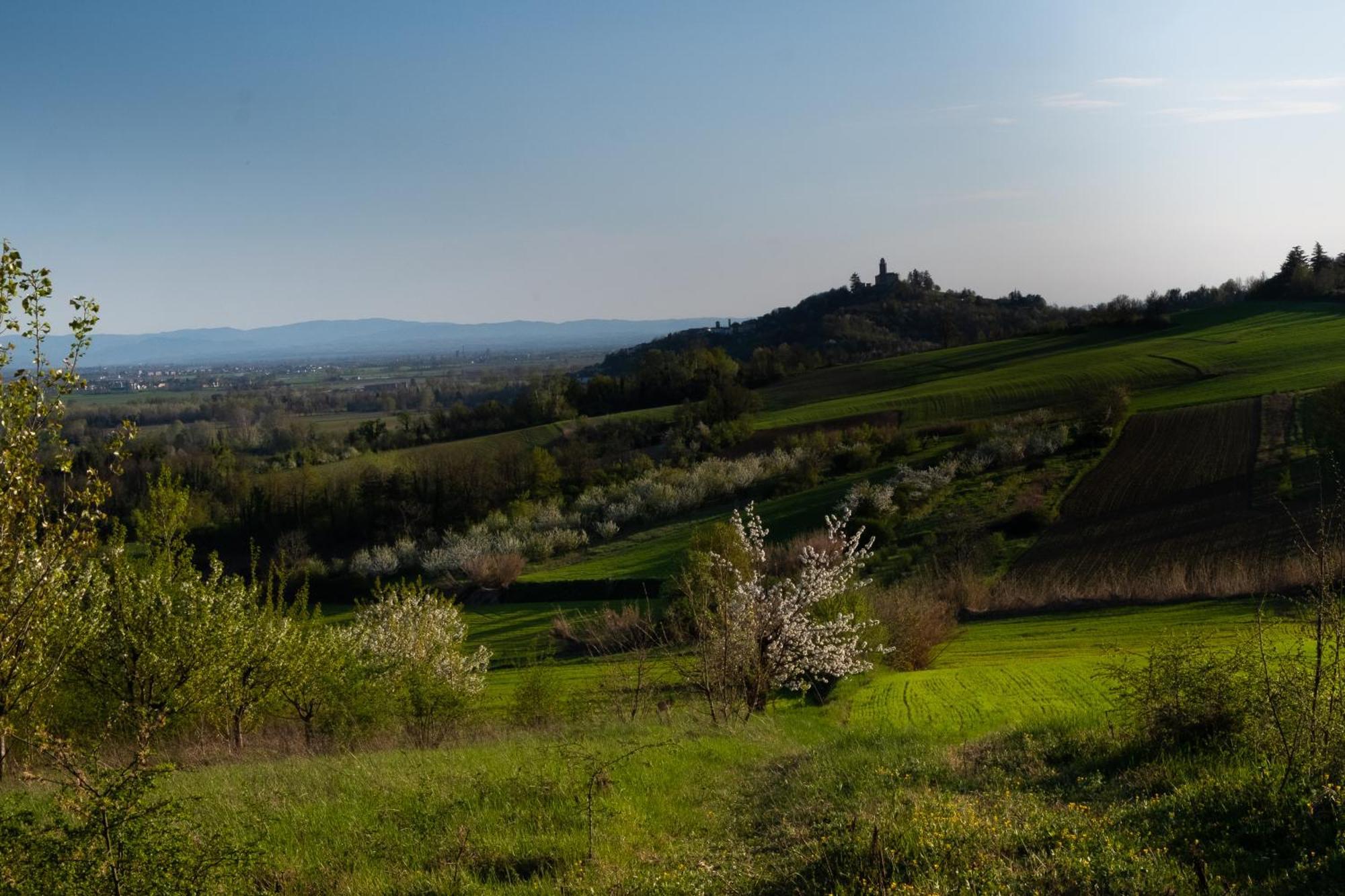 Monferrato Inn Rivarone Exteriér fotografie